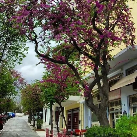 Bright Colourful Center *