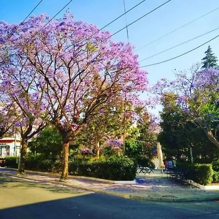 Bright Colourful Center Aten